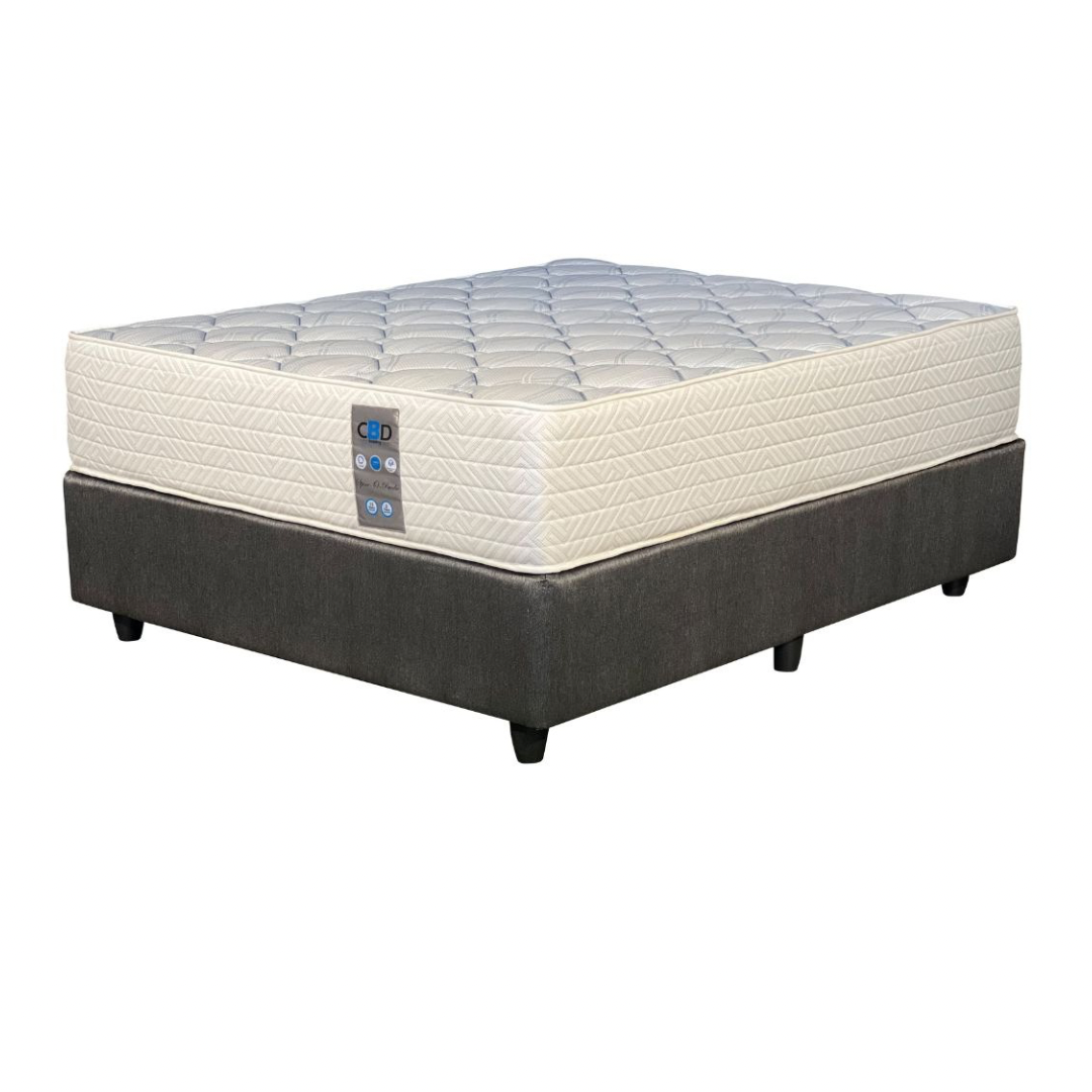 Spine o’Paedic - Queen Set