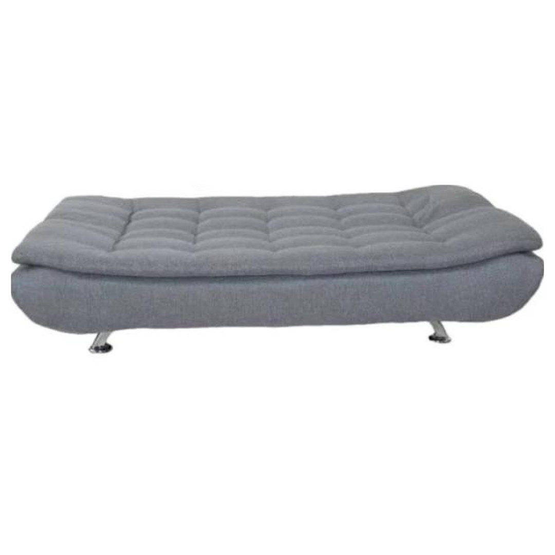 Sleeper Couch